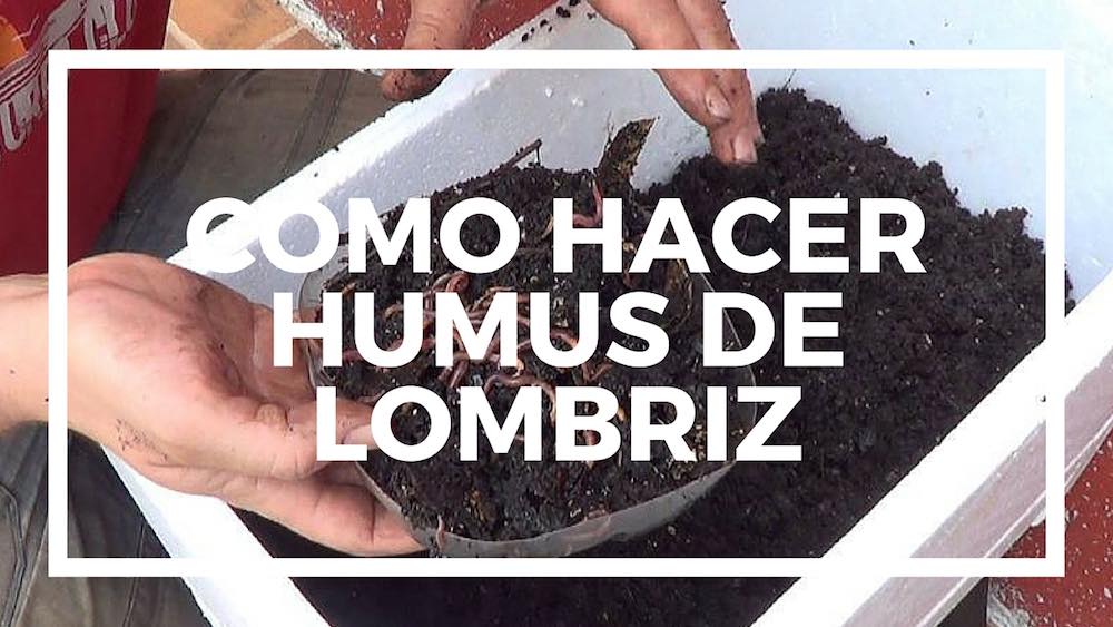 Como-hacer-humus-de-lombriz