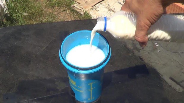 Cómo Hacer Un Fungicida Con Leche Para Combatir Los Hongos