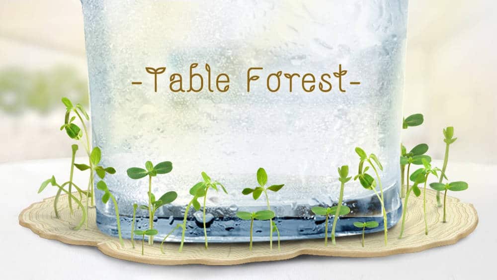 Table-forest