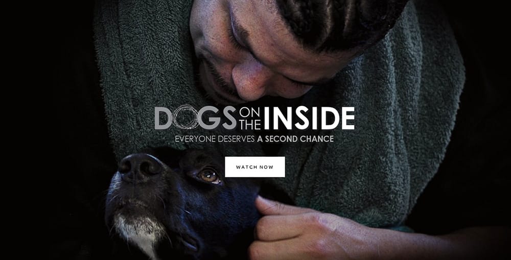 Dogs-on-the-inside