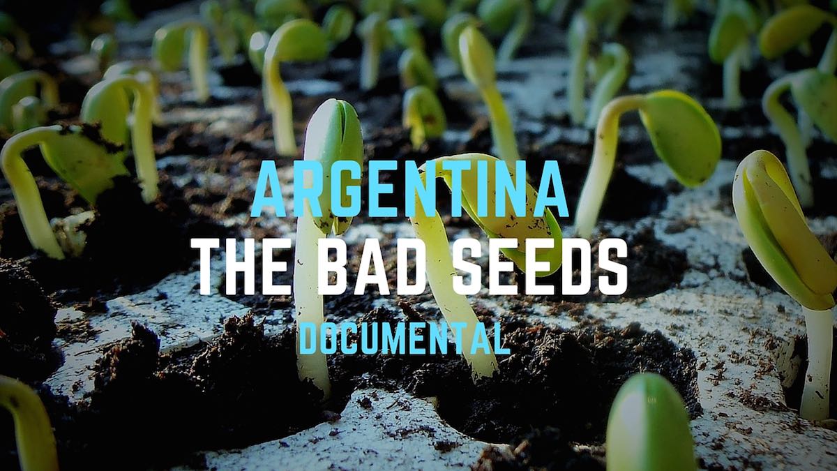 Argentina-the-bad-seeds