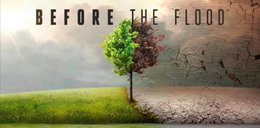 Before-the-flood