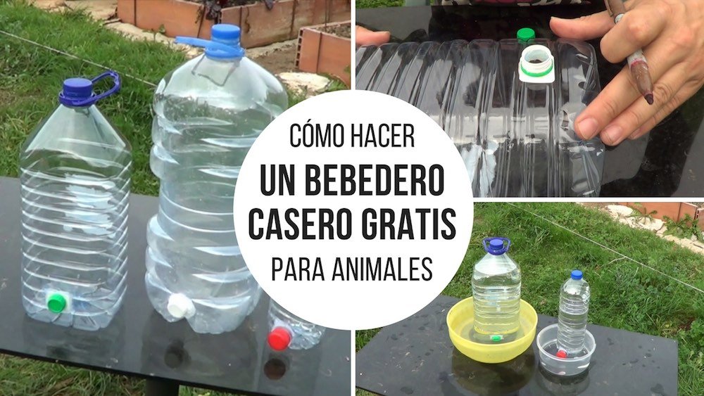 Cómo hacer un bebedero casero gratis para animales