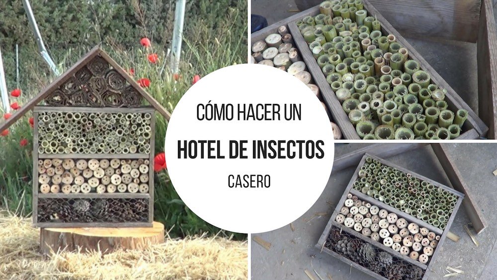 Como-hacer-un-hotel-de-insectos