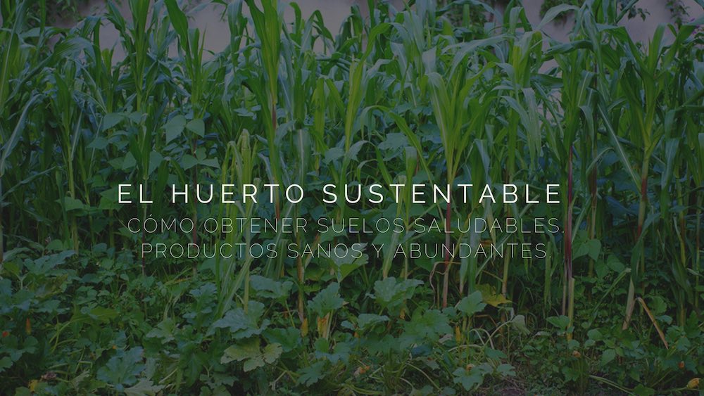 Huerto-sustentable