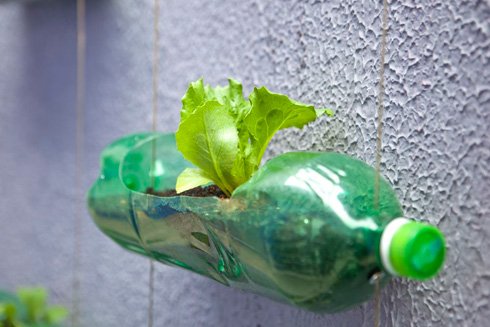 Paine Gillic País Boda Cómo hacer un jardín Vertical reutilizando botellas de plástico