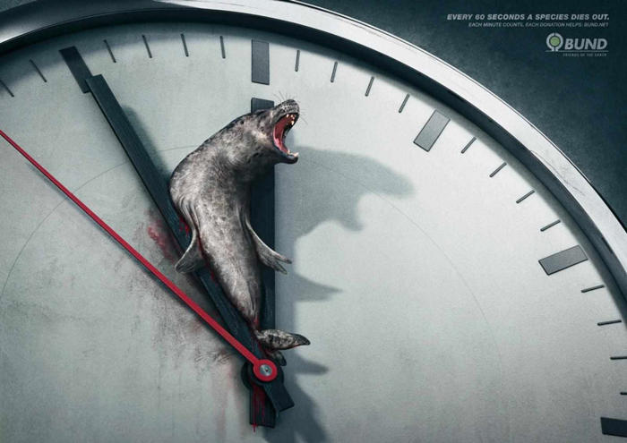 Cada 60 segundos muere una especie