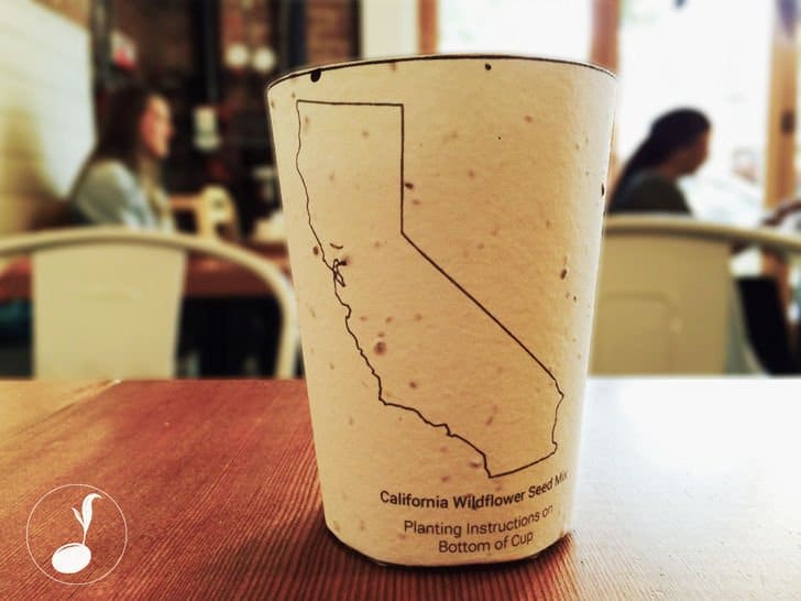 Taza de cafe biodegradable