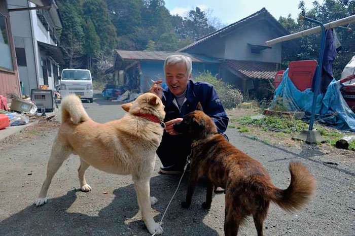 El Hombre que regresó a Fukushima para alimentar a los animales que se abandonaron10