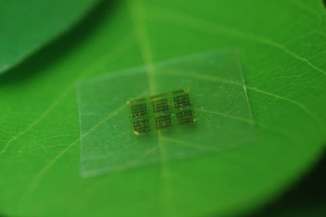 Biodegradable computer chips