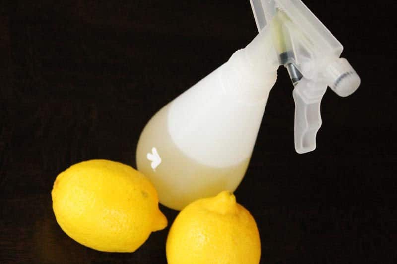 Limpiador casero de limon