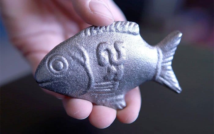 El pez de hierro que puede salvar millones de vidas