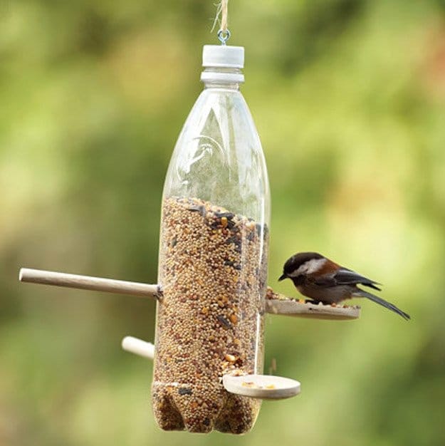 Poner un comedero para pájaros en tu jardín es una gran idea