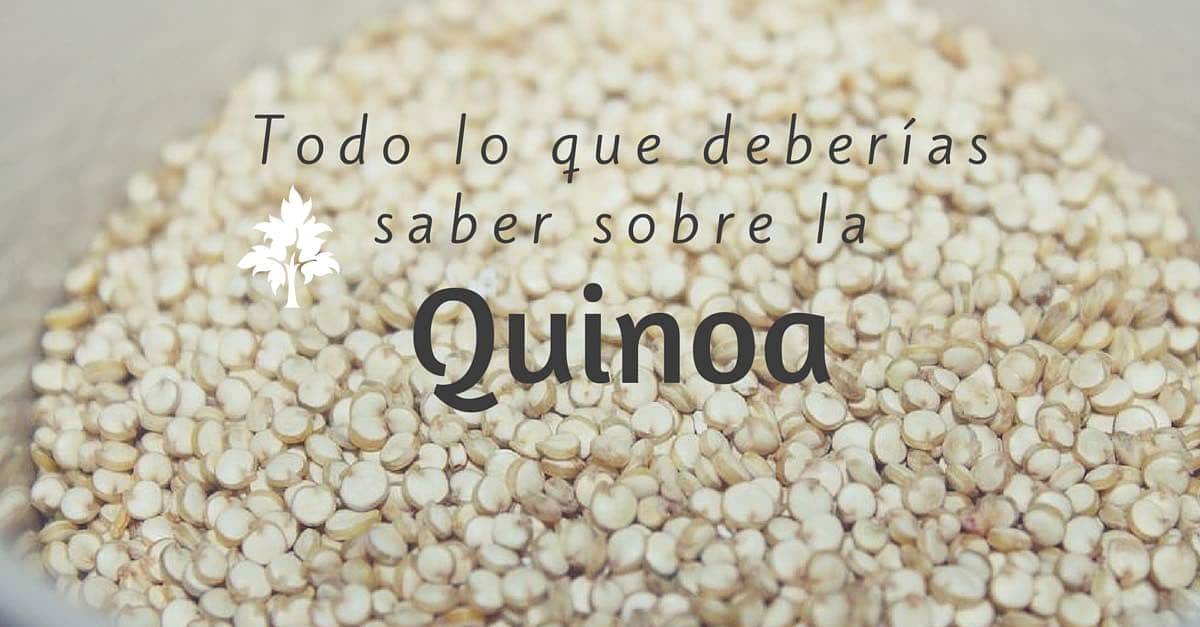Todo lo que deberías saber sobre la quinoa, propiedades y beneficios