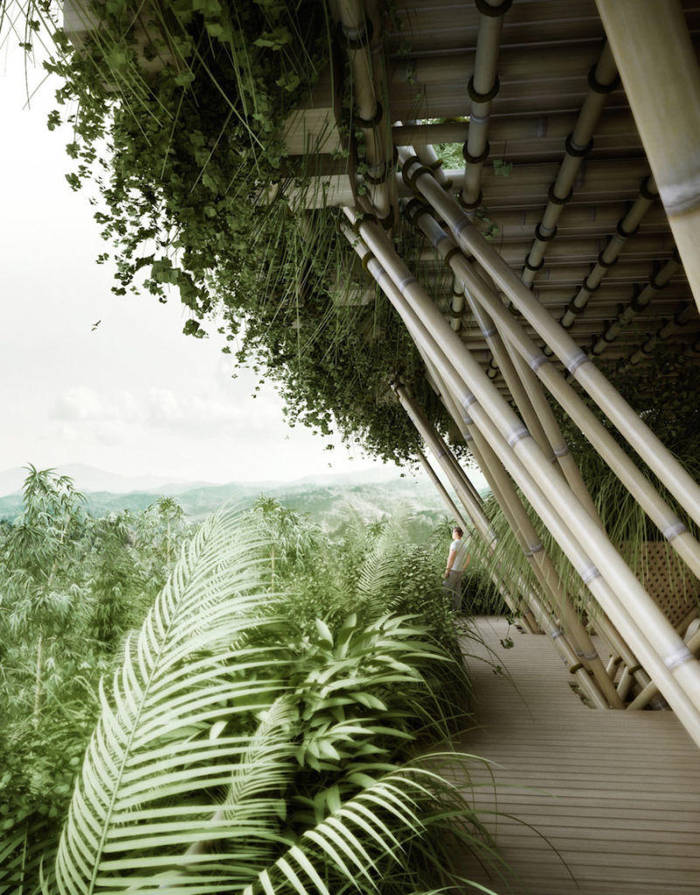 Arquitectura con bambu