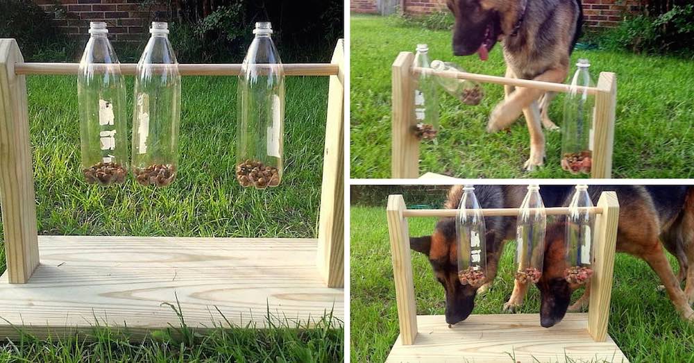 Como hacer un comedero-juguete para perros con botellas de plástico