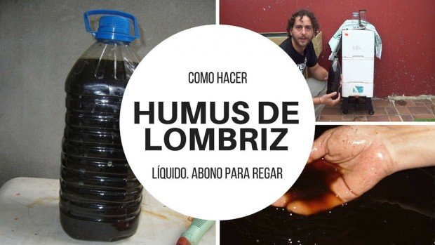 Cómo Hacer Humus De Lombriz Paso A Paso