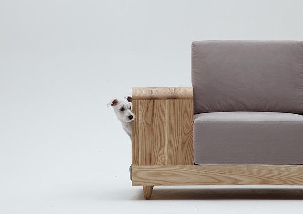 El sofa ideal para tu perro