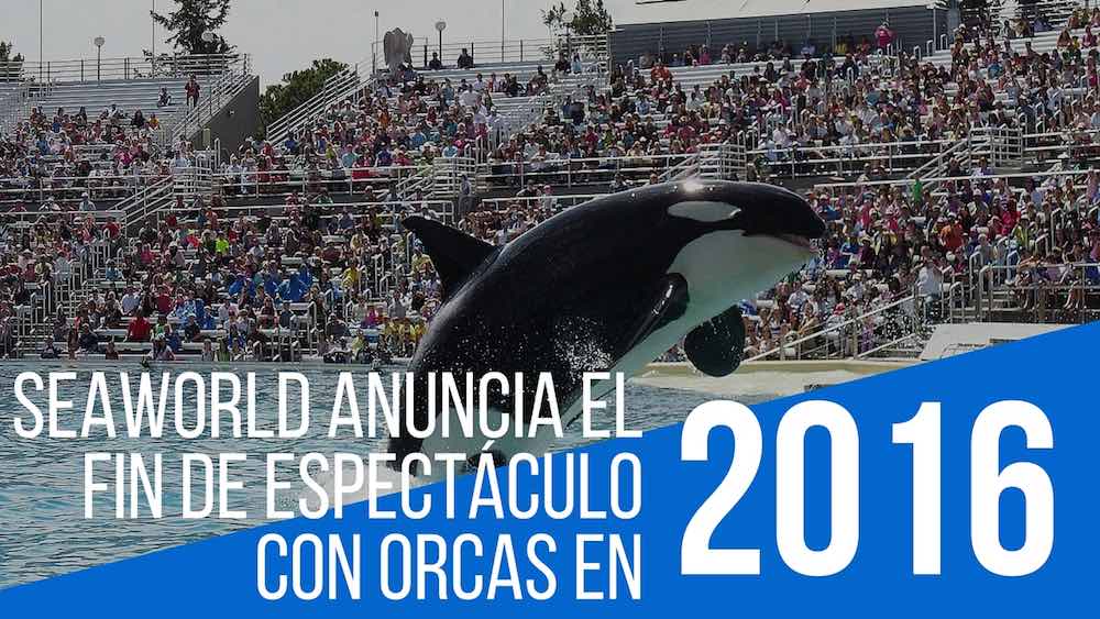 SeaWorld anuncia el fin de espectáculo con orcas