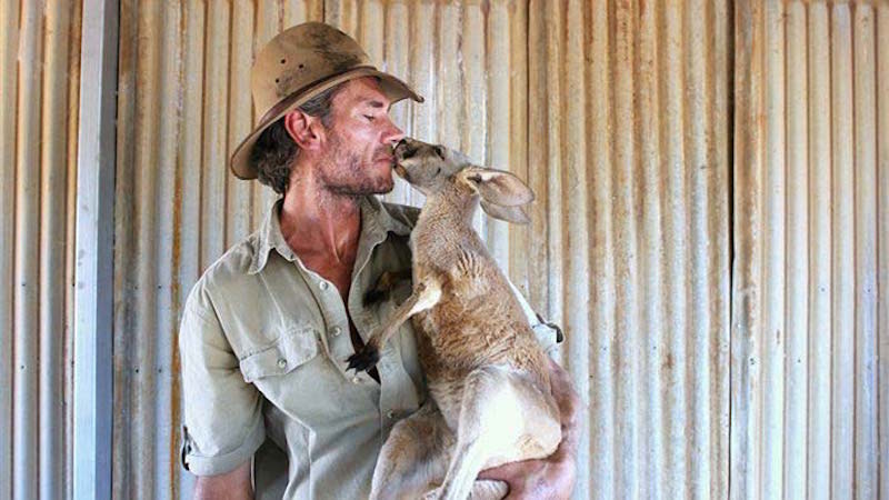 Canguro Dundee. El hombre que cuida de los canguros huérfanos en Australia