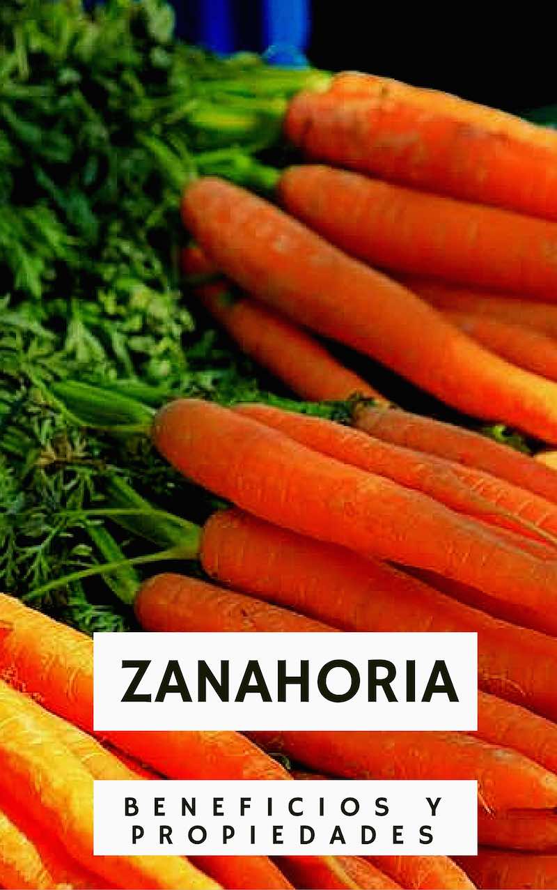 Beneficios y propiedades de la Zanahoria