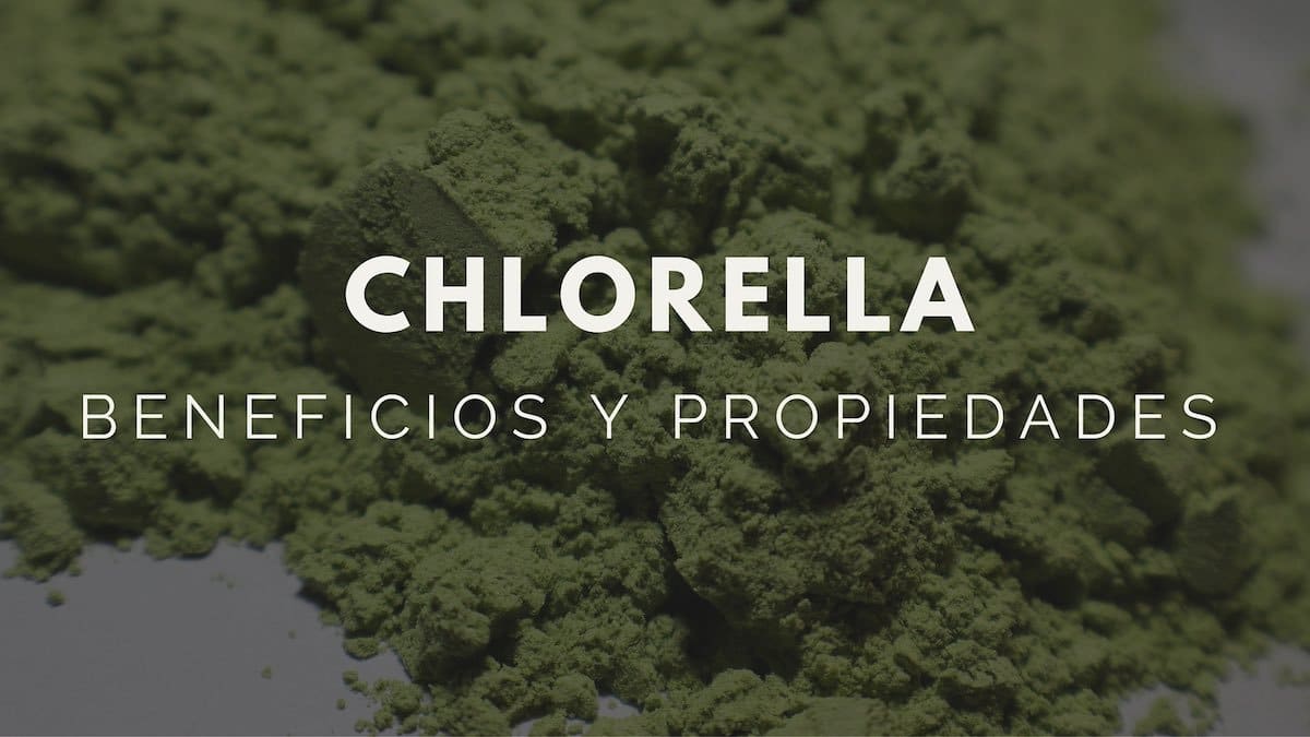 Propiedades Beneficios Y Usos De La Chlorella