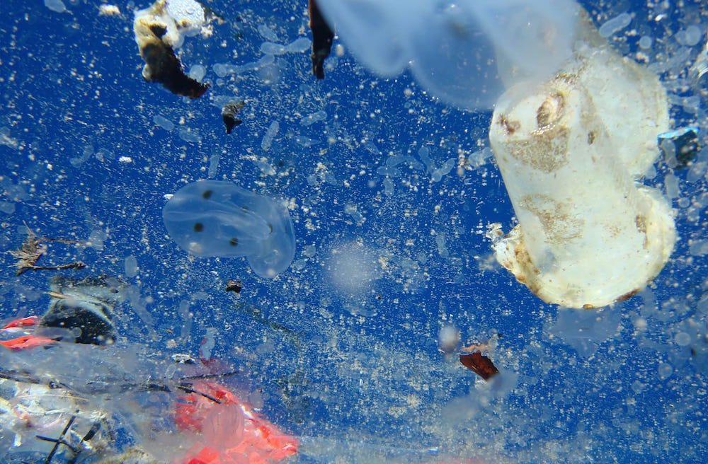 Contaminacion plástico en oceanos