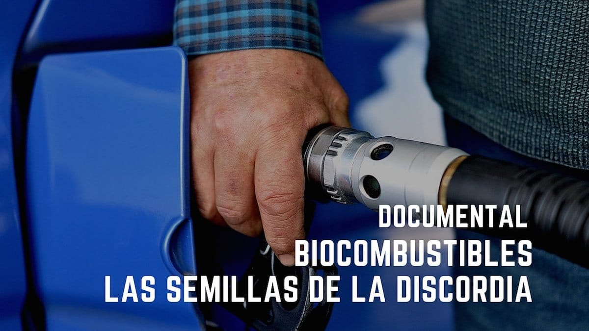 Biocombustibles, las semillas de la discordia