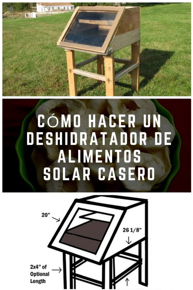 Cómo Hacer Un Deshidratador De Alimentos Solar Casero 9309