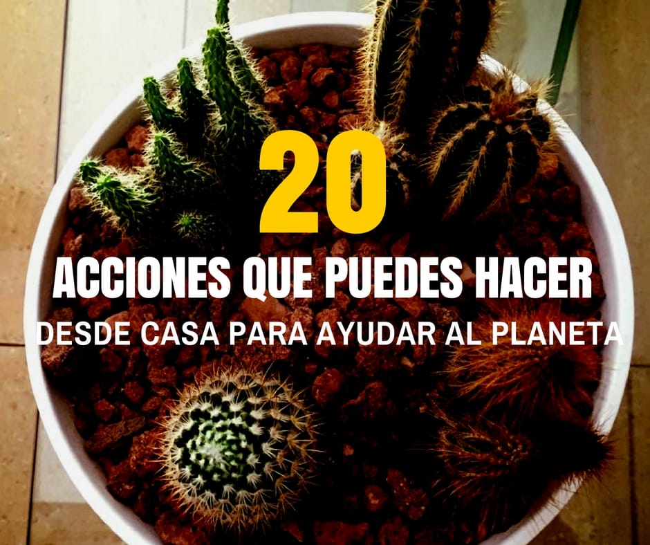 20 Acciones Que Puedes Hacer Desde Casa Para Ayudar Al Planeta Aggregatte 2085