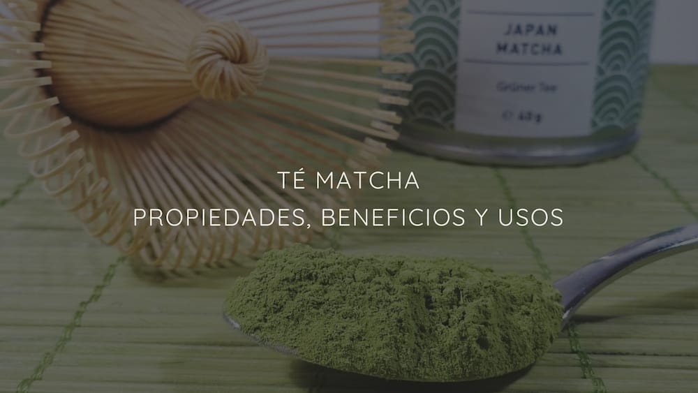 Propiedades, Beneficios Y Usos Del Té Matcha