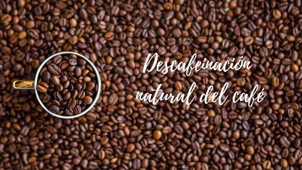 descafeinizacion-del-cafe