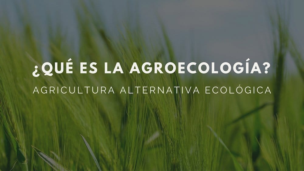¿Qué es la agroecología?
