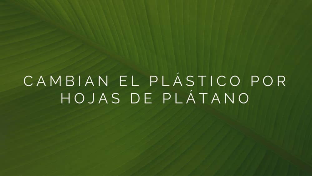 plastico-por-hojas-de-platano