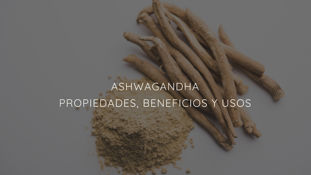 Ashwagandha Descubre Los Grandes Beneficios Para La Salud Del Ginseng Indio