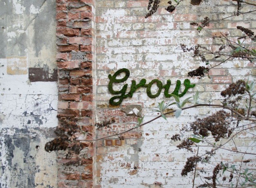 graffiti de musgo sostenible