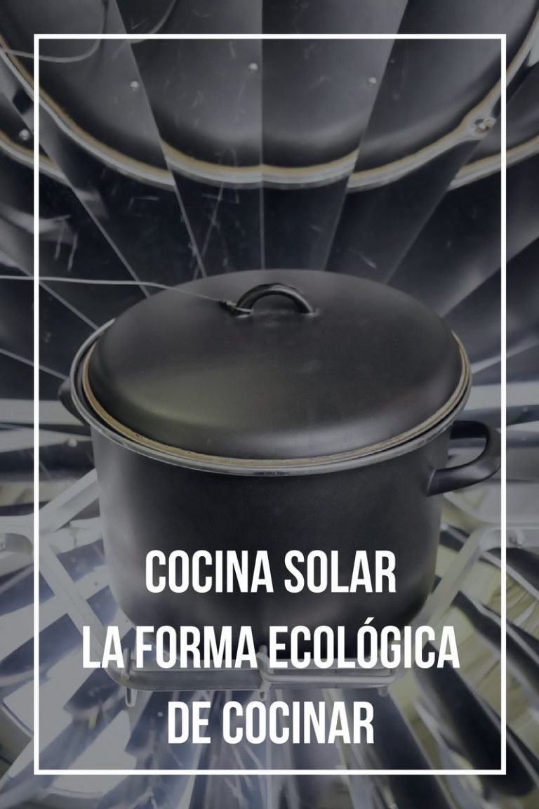 Cocina Solar, La Forma Ecológica De Cocinar Con El Sol