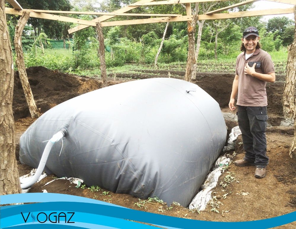 El invento que permite a cientos de ganaderos obtener biogás de excrementos animales