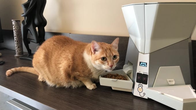 Petpresso1-1
