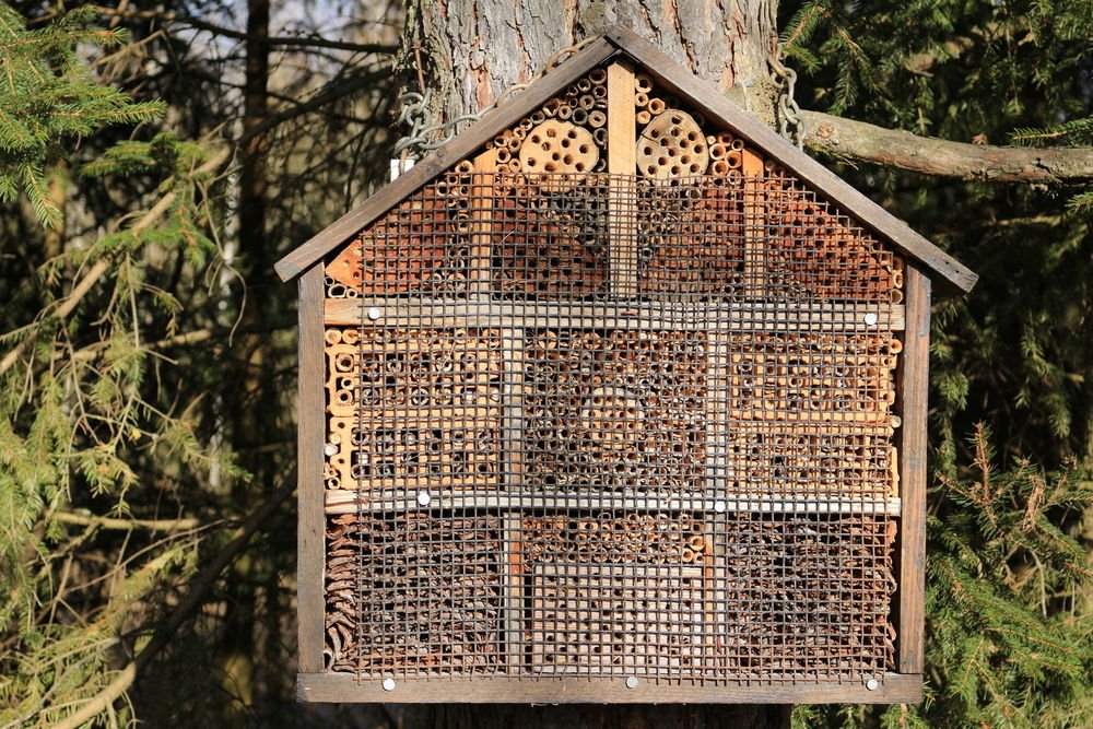Coloca tu hotel para abejas