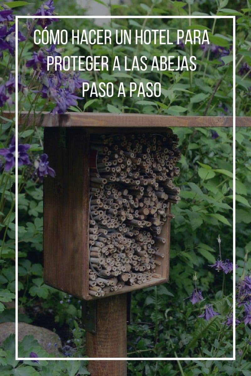 Cómo hacer un hotel para proteger a las abejas paso a paso
