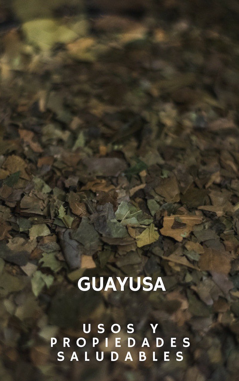 Propiedades, Beneficios y usos de la Guayusa