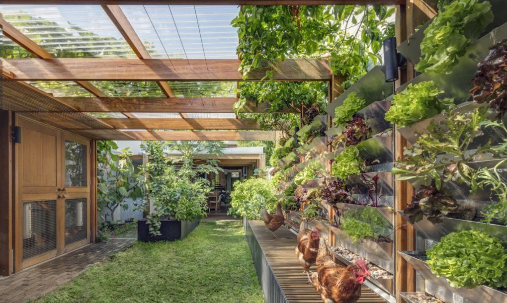 Esta casa australiana autosuficiente cosecha sus propios alimentos, energía y agua