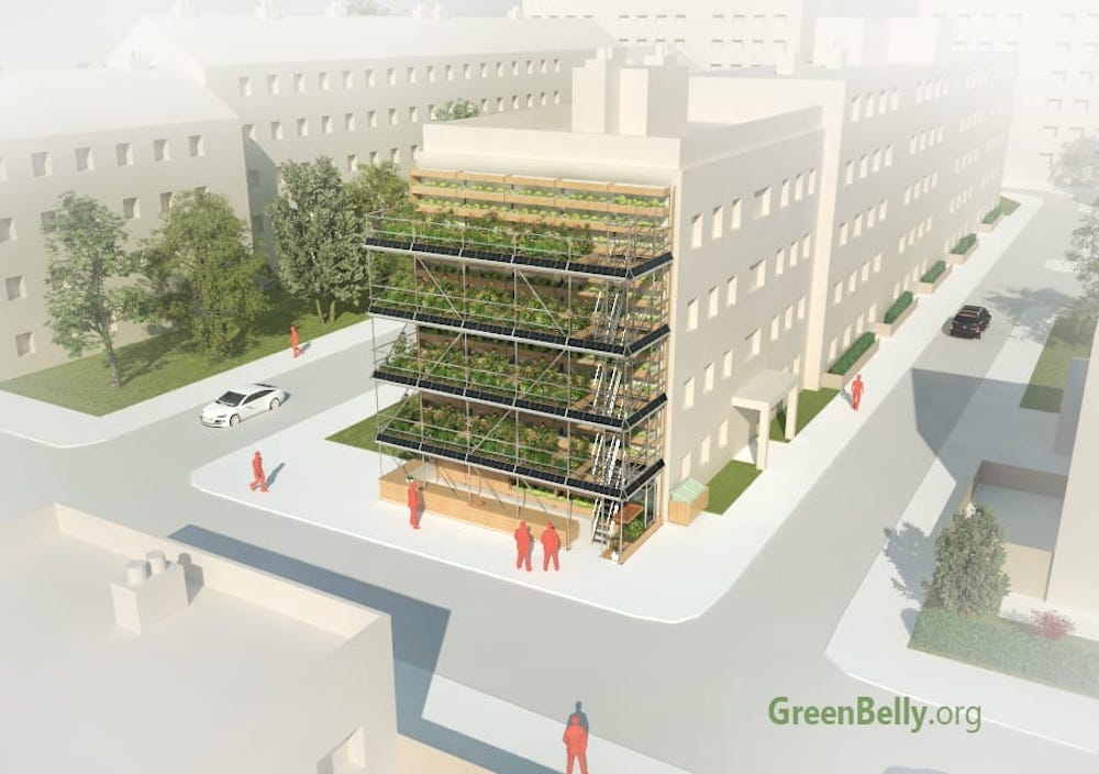 GreenBelly, huertos verticales urbanos