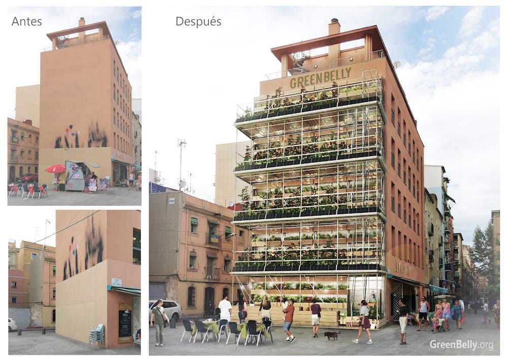 GreenBelly, huertos verticales urbanos en muros de edificios sin uso