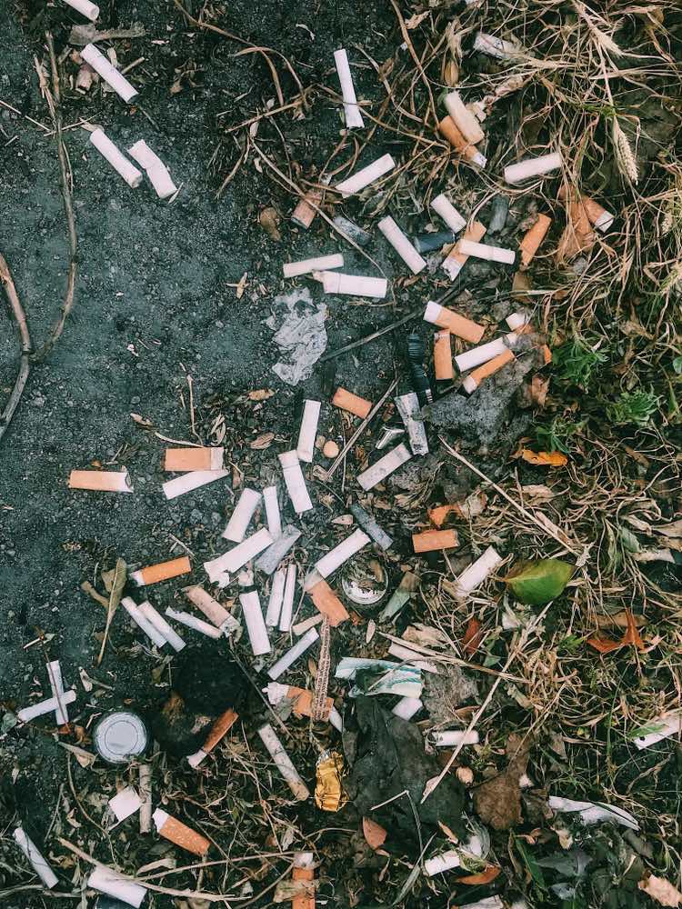 ¿Prohibir las pajitas de plástico? Las colillas de los cigarrillos son la mayor fuente de basura oceánica