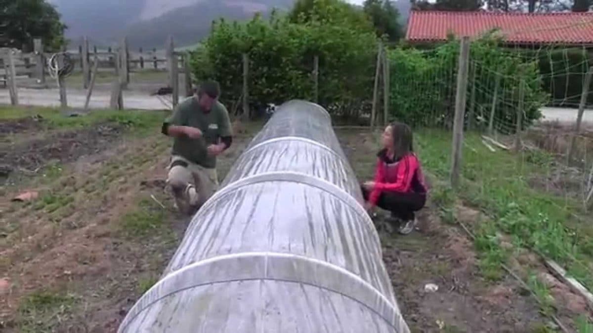 Cómo hacer micro-túneles para tus cultivos en el huerto