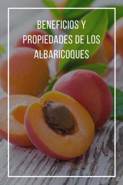 Beneficios Y Propiedades De Los Albaricoques