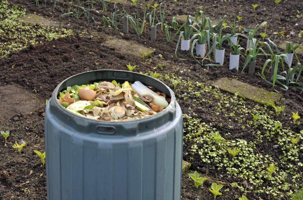 Usos del compost en el huerto o jardín