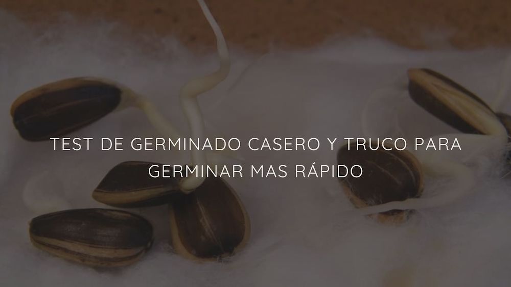 Trucos Caseros Para No Eyacular Tan Rapido